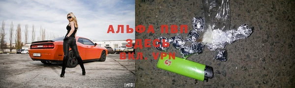 эйфоретик Белоозёрский