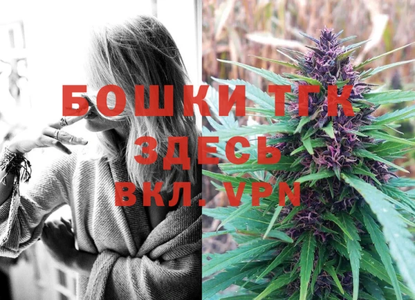 метадон Белокуриха