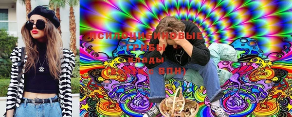 амф Беломорск