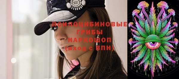 метадон Белокуриха