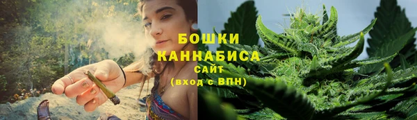 метадон Белокуриха